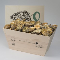 No.0 Oysters