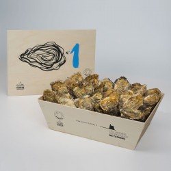 No. 1 Oysters