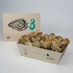 No. 3 Oysters