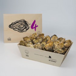 No. 4 Oysters