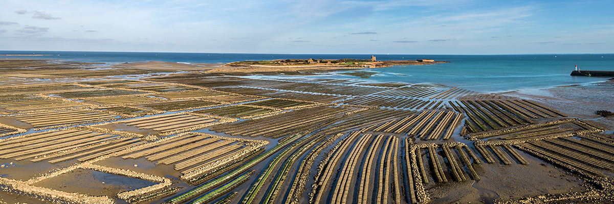 Parcs à huîtres